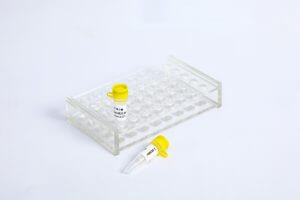 产品上新丨xpj.com官网生物2024年1月新品盘点