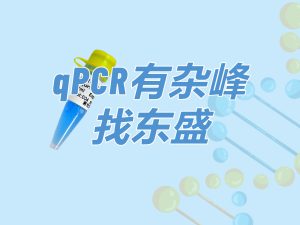 SYBR Green Blue qPCR Mix：qPCR有杂峰 找xpj.com官网