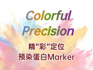 精 “彩” 定位：蛋白 Marker 助力蛋白质研究
