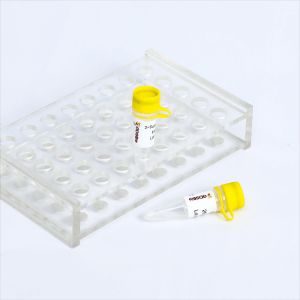 Pathogen Multiplex PCR Mix for DNA K038-A K038-9