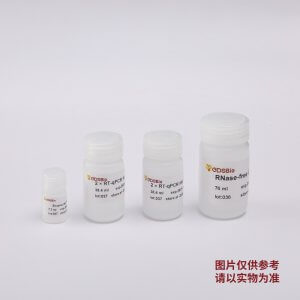 GDSlyo One-step Probe RT-qPCR Kit V2-NAF