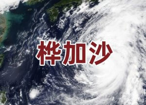 超强台风“桦加沙”来袭：公共卫生挑战与分子检测在灾害应对中的关键角色